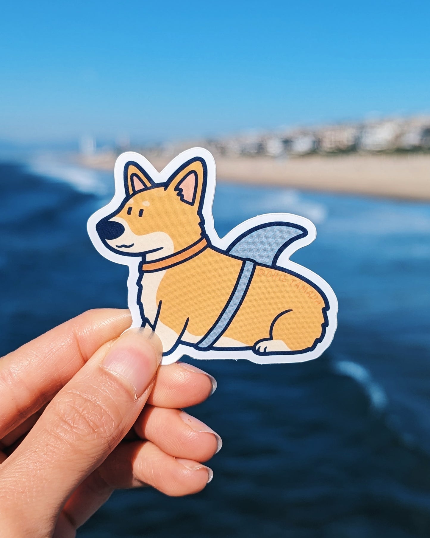 Corgi Dog Shark Sticker