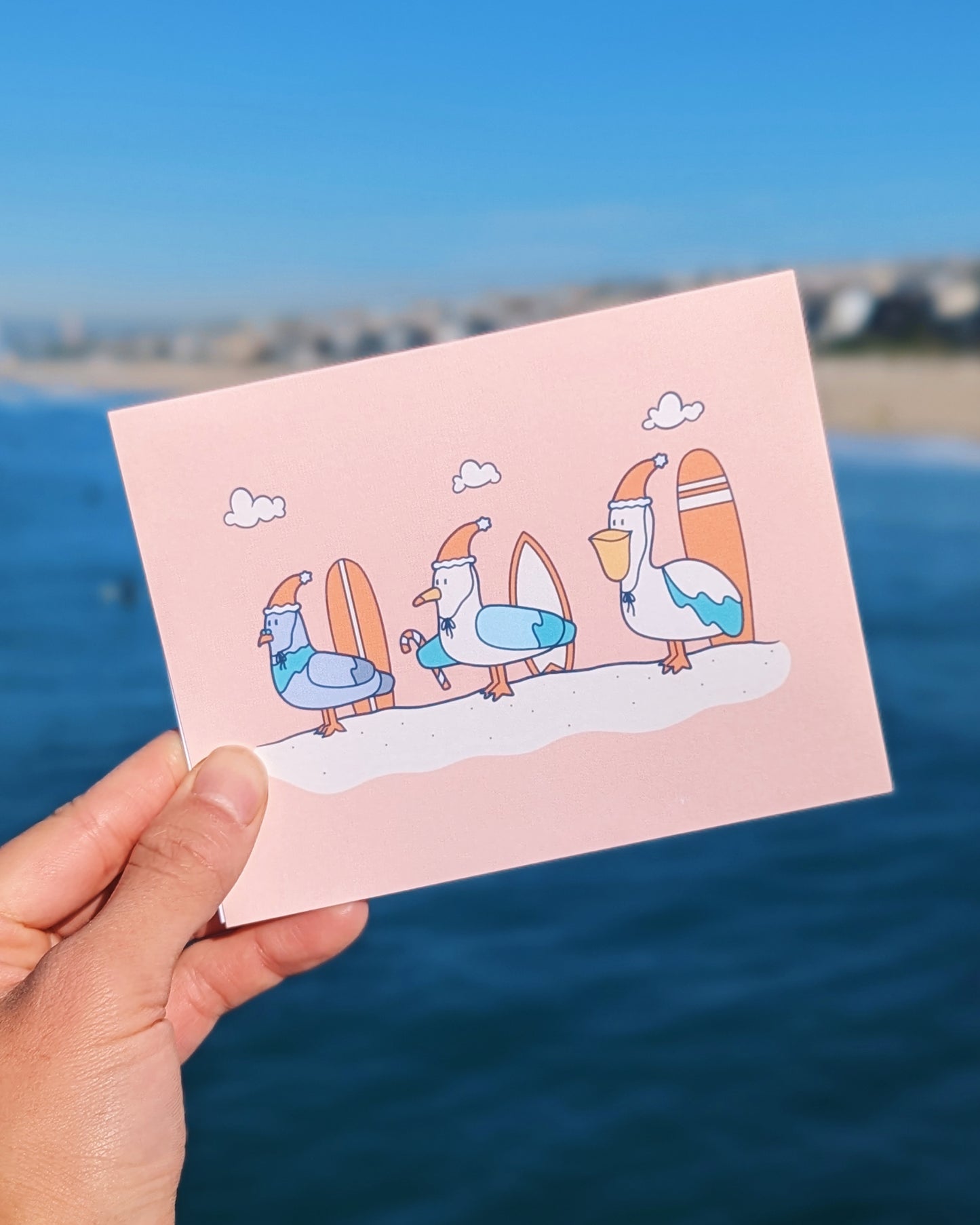 Surfer Bird Trio Holiday Card